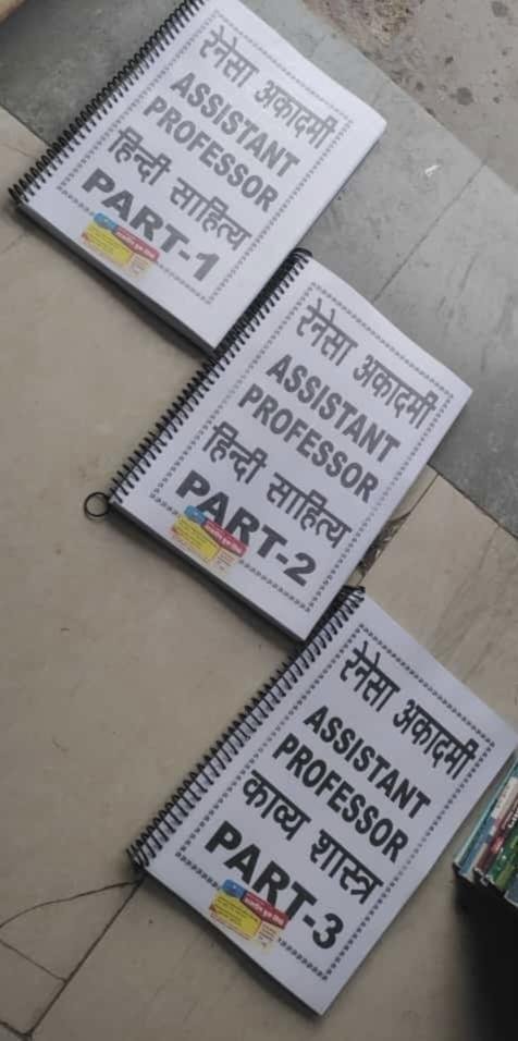RENSA PROFESSOR HINDI NOTES (SET OF 3)